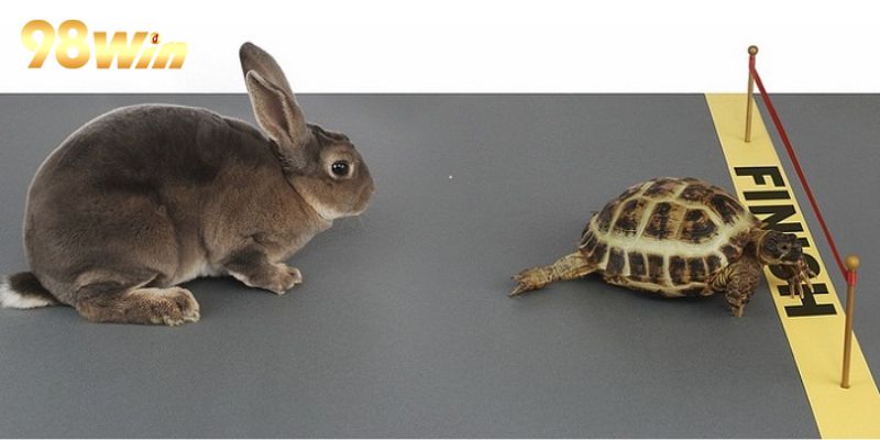 Trải Nghiệm Đua Thỏ Hấp Dẫn Tại 98WIN – Cổng Game Đầy Thú Vị